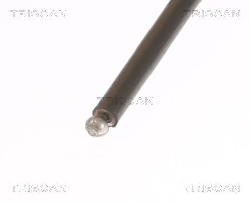 Трос капота 814027600 Triscan