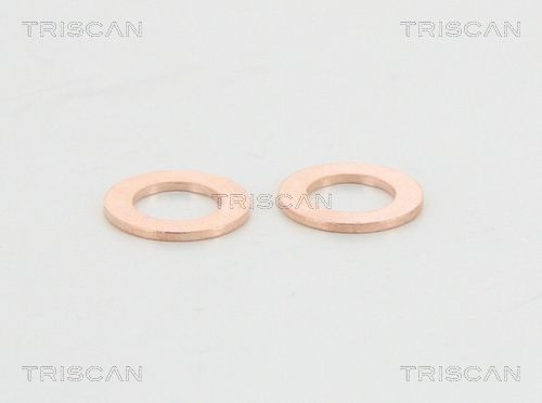 Шланг гальмівний задній, лівий Triscan 815011214