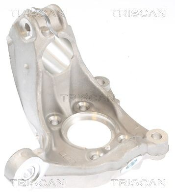 Купити 850029715 Triscan Цапфа поворотного кулака