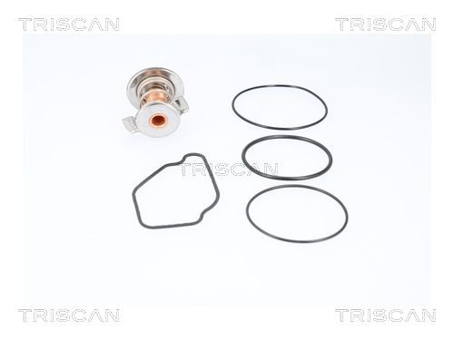Купити 862011792 Triscan Термостат в корпусі