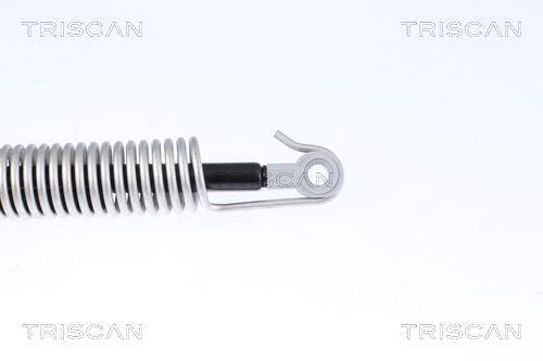 Амортизатор кришки багажника Triscan 8710112014