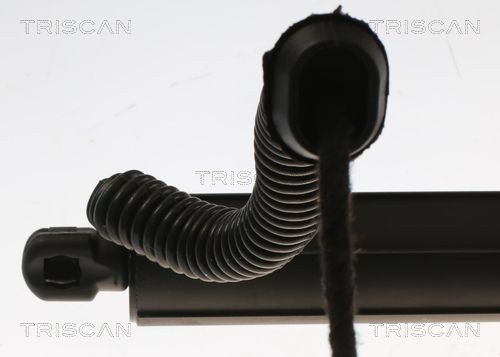 Амортизатор двері задньої Depo/Loro/Abakus 10102001 ціна, від 90.20 USD