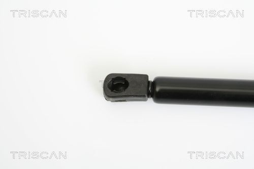 Купити 871028232 Triscan Амортизатор двері багажника