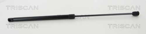 Амортизатор кришки багажника Magneti Marelli 430719158000