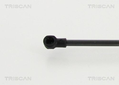 Амортизатор багажника 8710292101 Triscan
