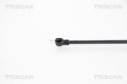 Амортизатор багажника 871029242 Triscan