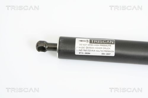 Амортизатор двері задньої Triscan 871029264 ціна, від 22.37 USD