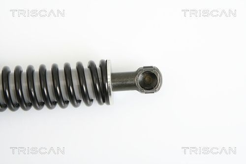 Амортизатор багажника 871029264 Triscan