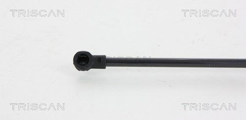 Амортизатор багажника 871066206 Triscan