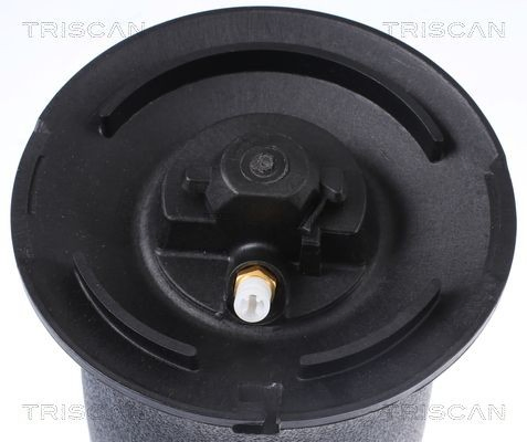 Купити AT10276 AT Autoteile Пневмоподушка/Пневморессора моста заднього