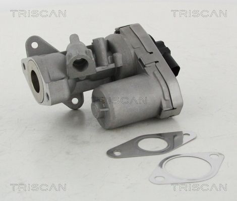 Клапан EGR рециркуляції газів Triscan 881310002
