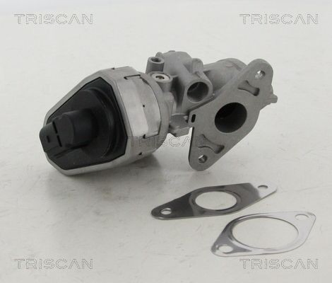 Клапан ЄГР 881310002 Triscan