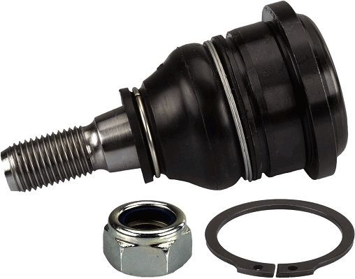 RL401602N Raiso Кульові на авто