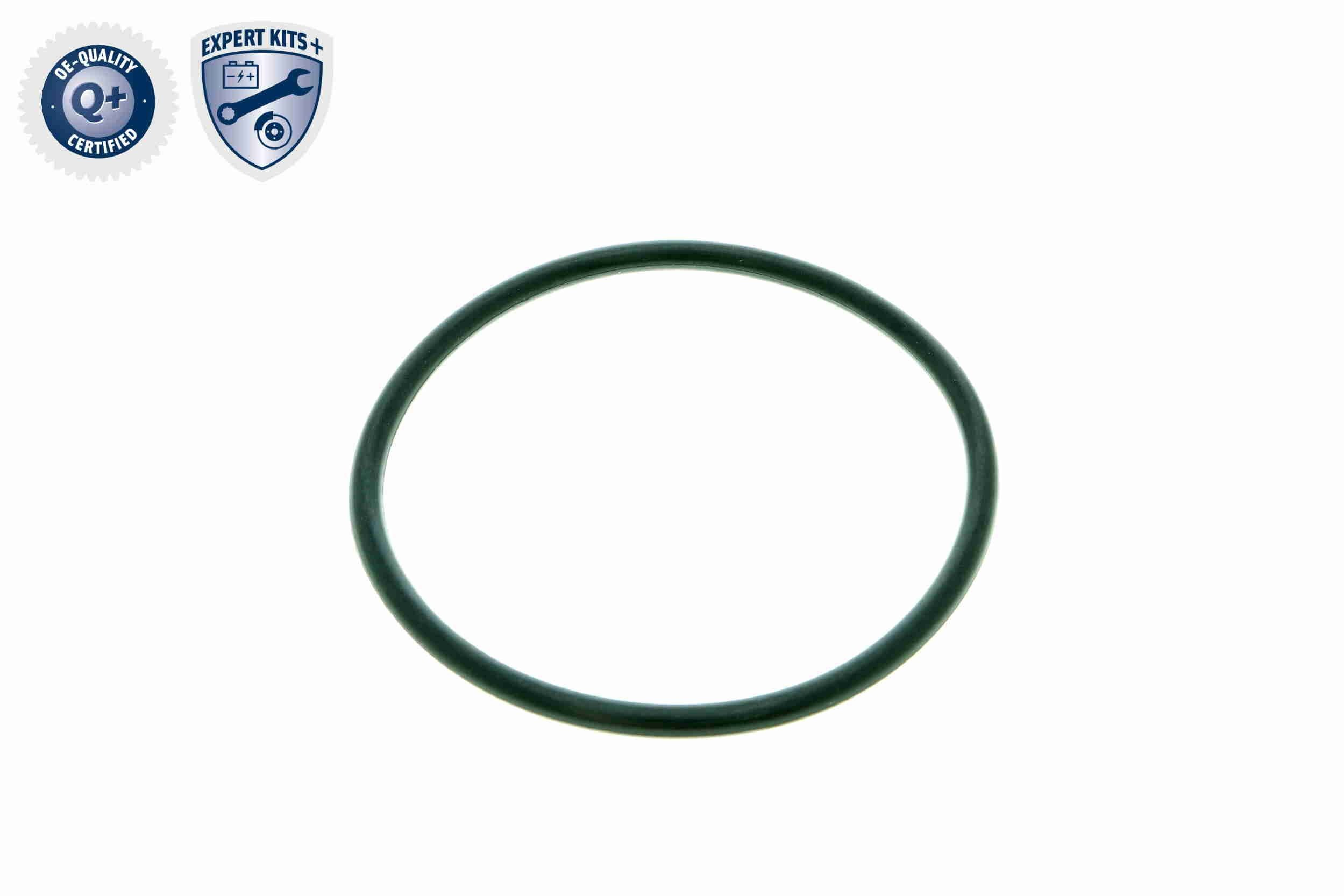 Купити V1004401 VEMO/Vaico Масло і фільтр в коробку автомат 