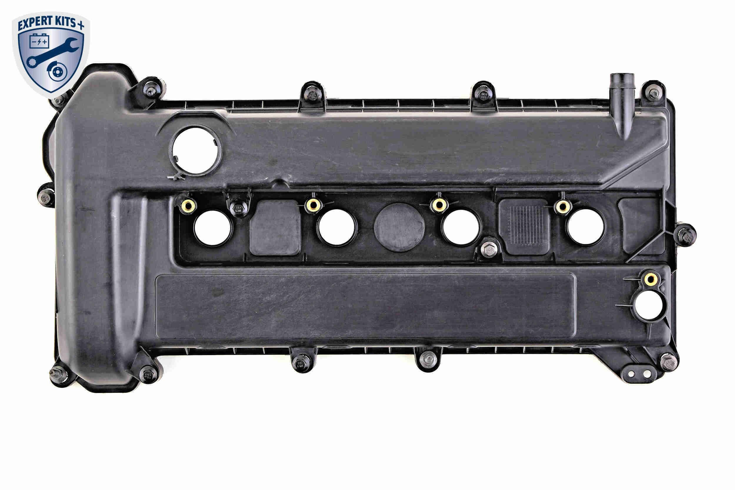 Клапанна кришка DRM6919 Polcar
