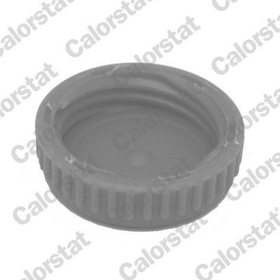 Кришка бачка радіатора Vernet RC0188 ціна, від 1.98 USD