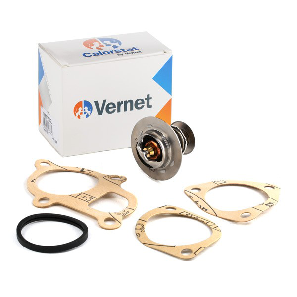 Купити TH631982J Vernet Термостат в корпусі