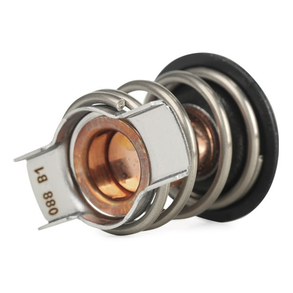 Термостат в зборі Vernet TH924188J