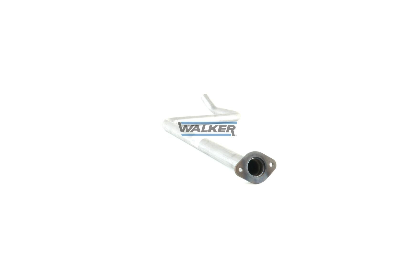 Глушник, центральна частина 10720 Walker