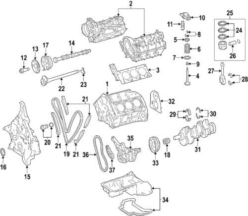 Купити Сальник клапана Volkswagen Golf VIII CD1, DA1
