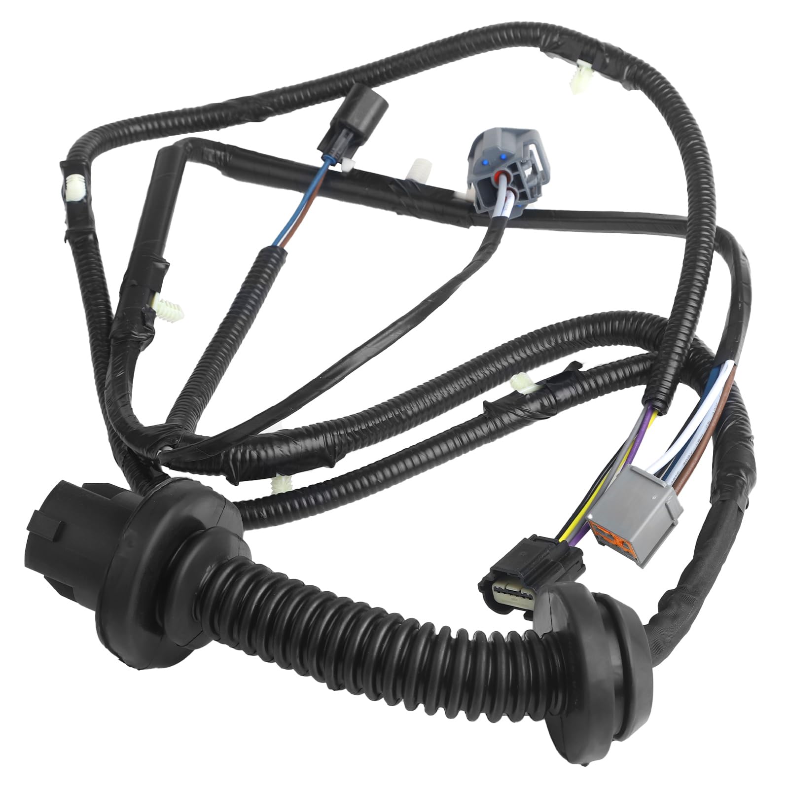 14631 SEM 