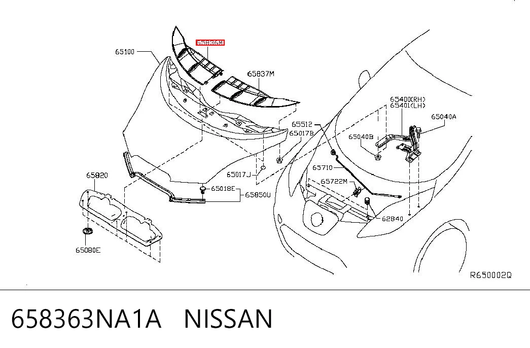 Накладка капота декоративна на Nissan LEAF I ZE0