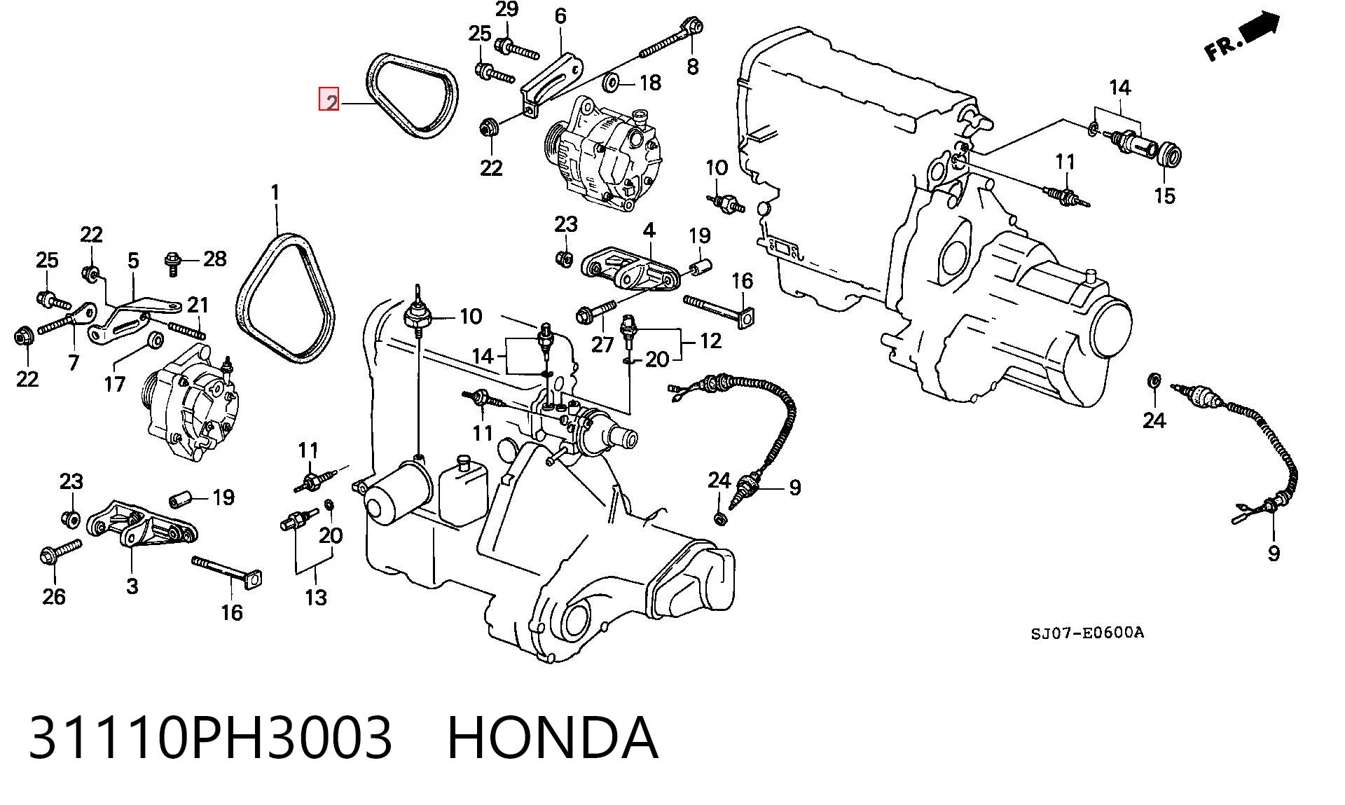 31110PH3003 Honda Поліклиновий ремінь