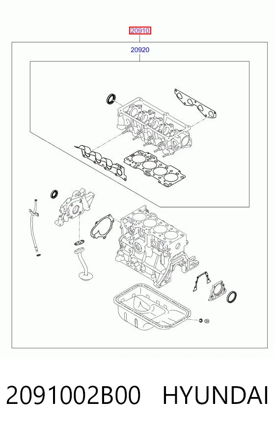 2091002B00 Hyundai/Kia Набір прокладок двигуна