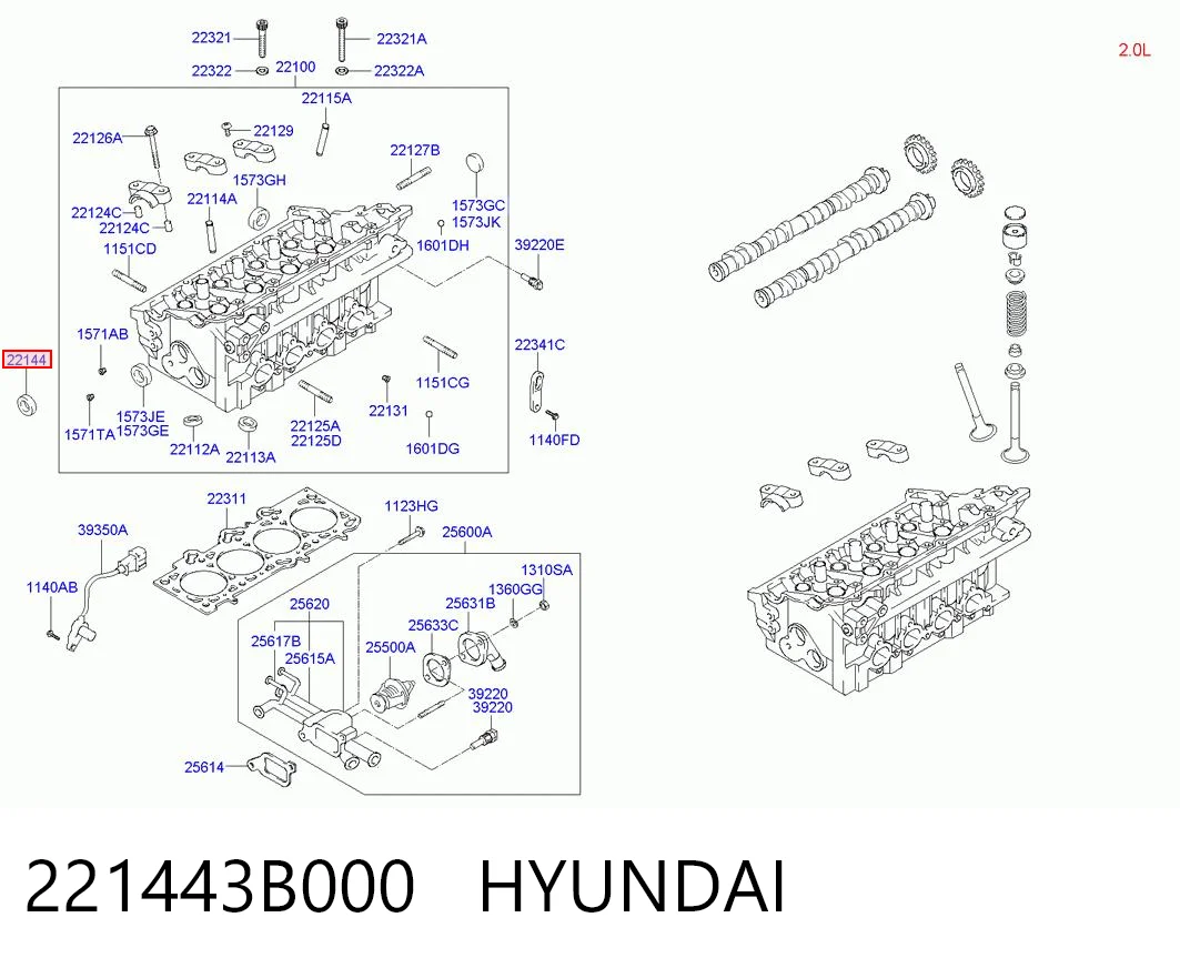 221443B000 Hyundai/Kia Сальник двигуна, распредвала