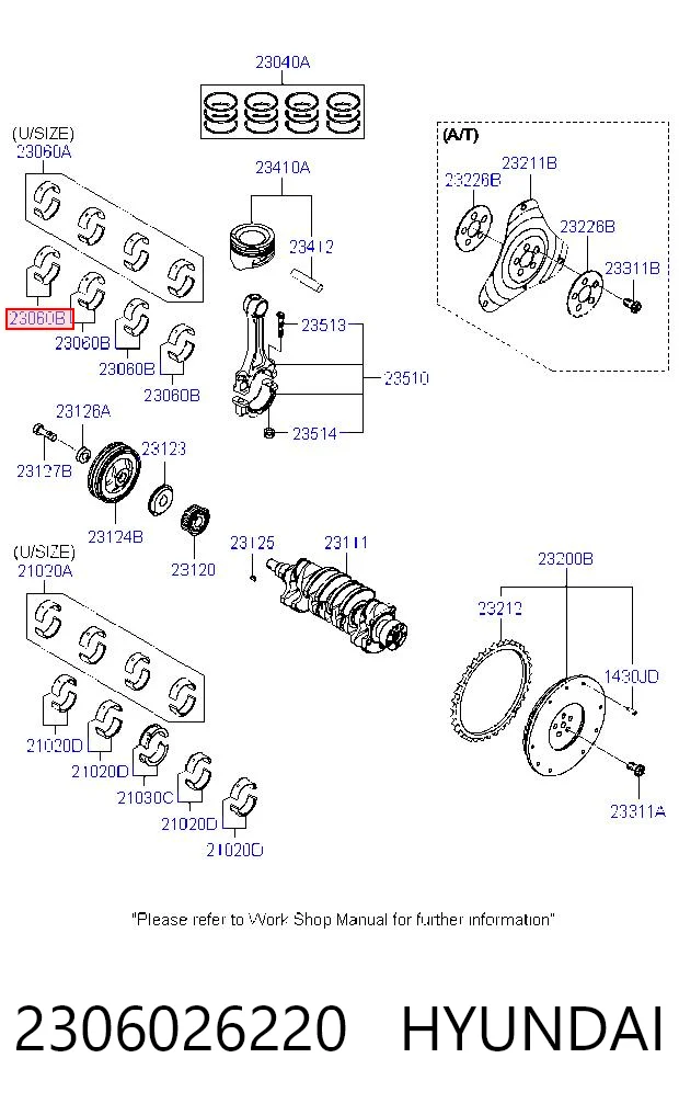 2306026220 Hyundai/Kia Підшипник шатуна