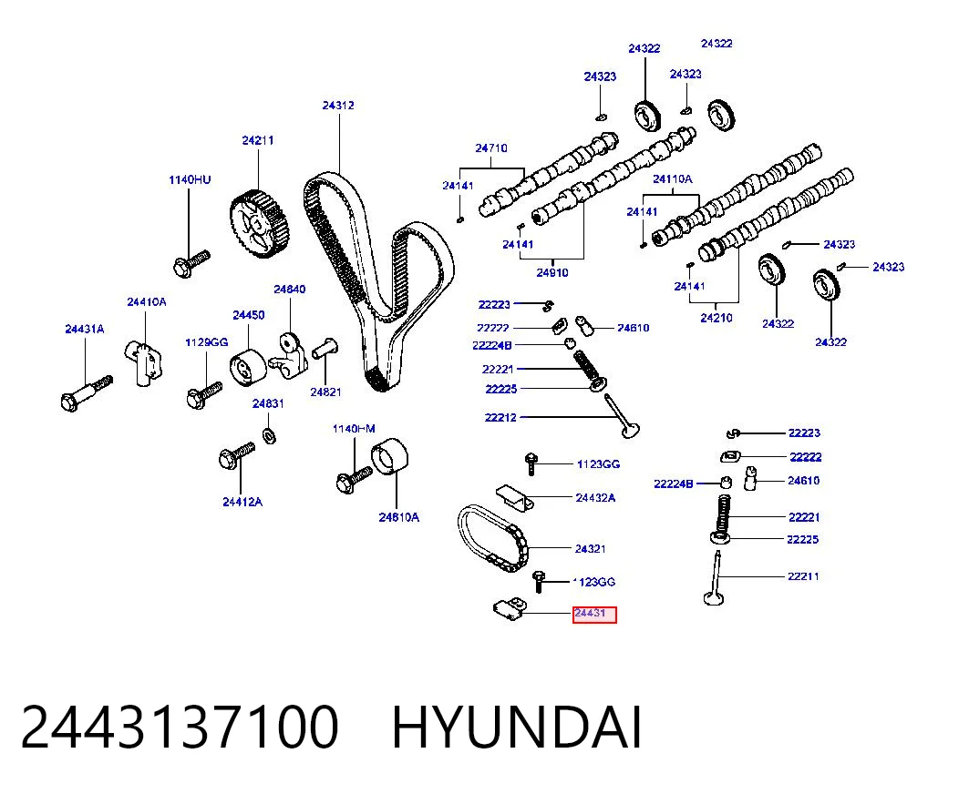 2443137100 Hyundai/Kia Заспокоювач ланцюга ГРМ, нижній