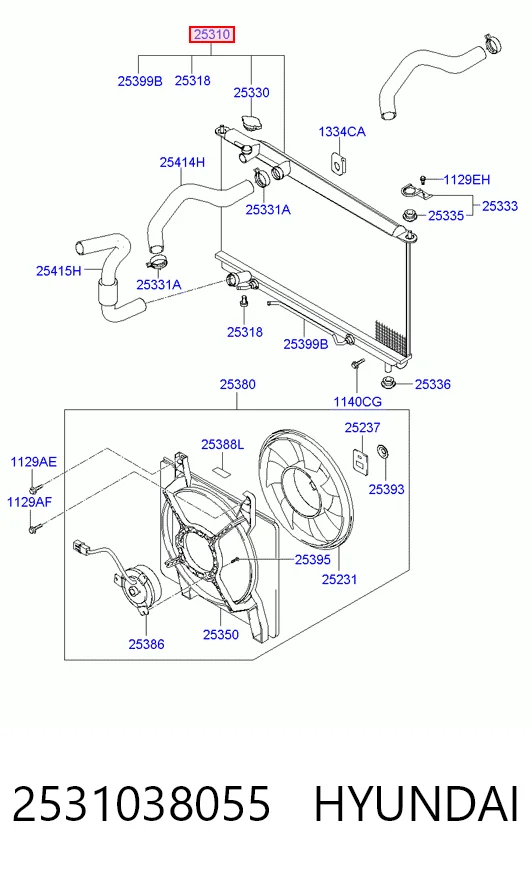 2531038055 Hyundai/Kia Радіатор охолодження двигуна