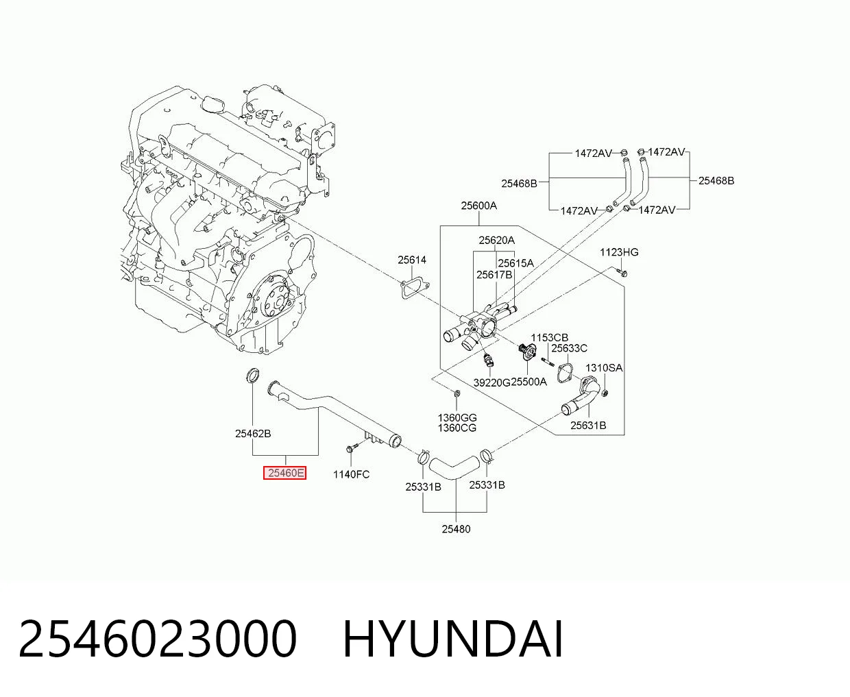 2546023000 Hyundai/Kia Шланг/патрубок водяного насосу, приймальний