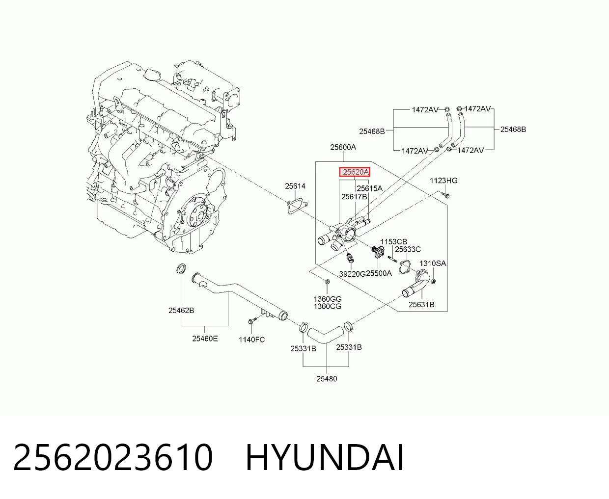 2562023610 Hyundai/Kia Корпус термостата в зборі
