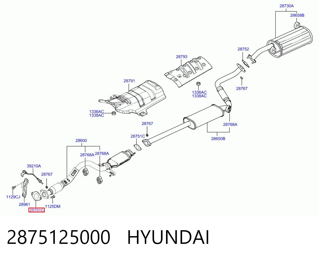Прокладка штанів на Hyundai Santa Fe II CM