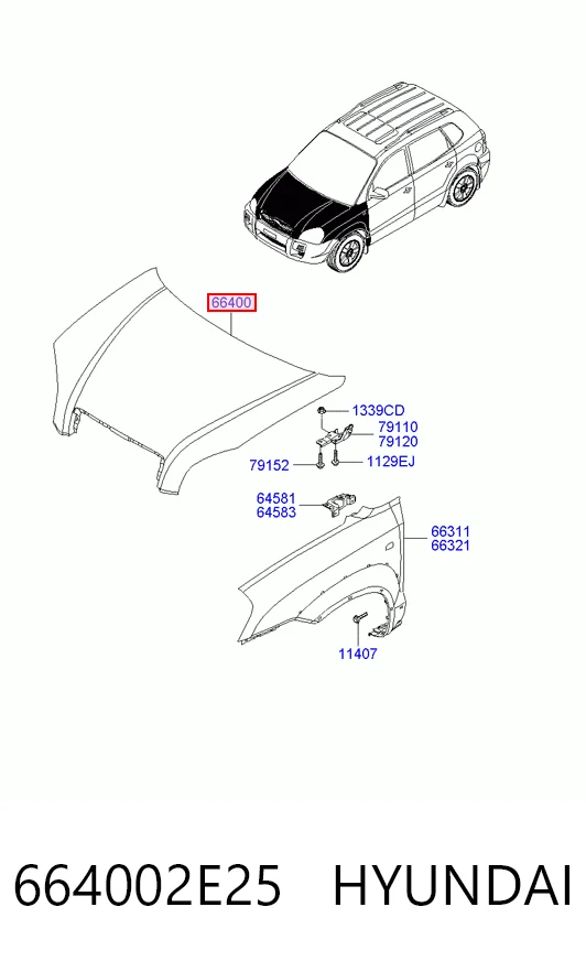Купити HN20029A TYG Капот