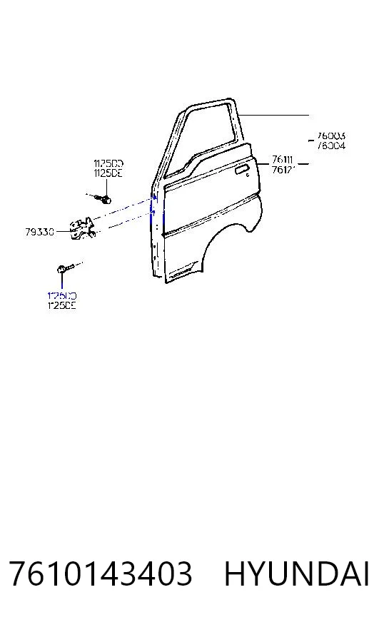 Купити Двері передні ліві Hyundai H100  P