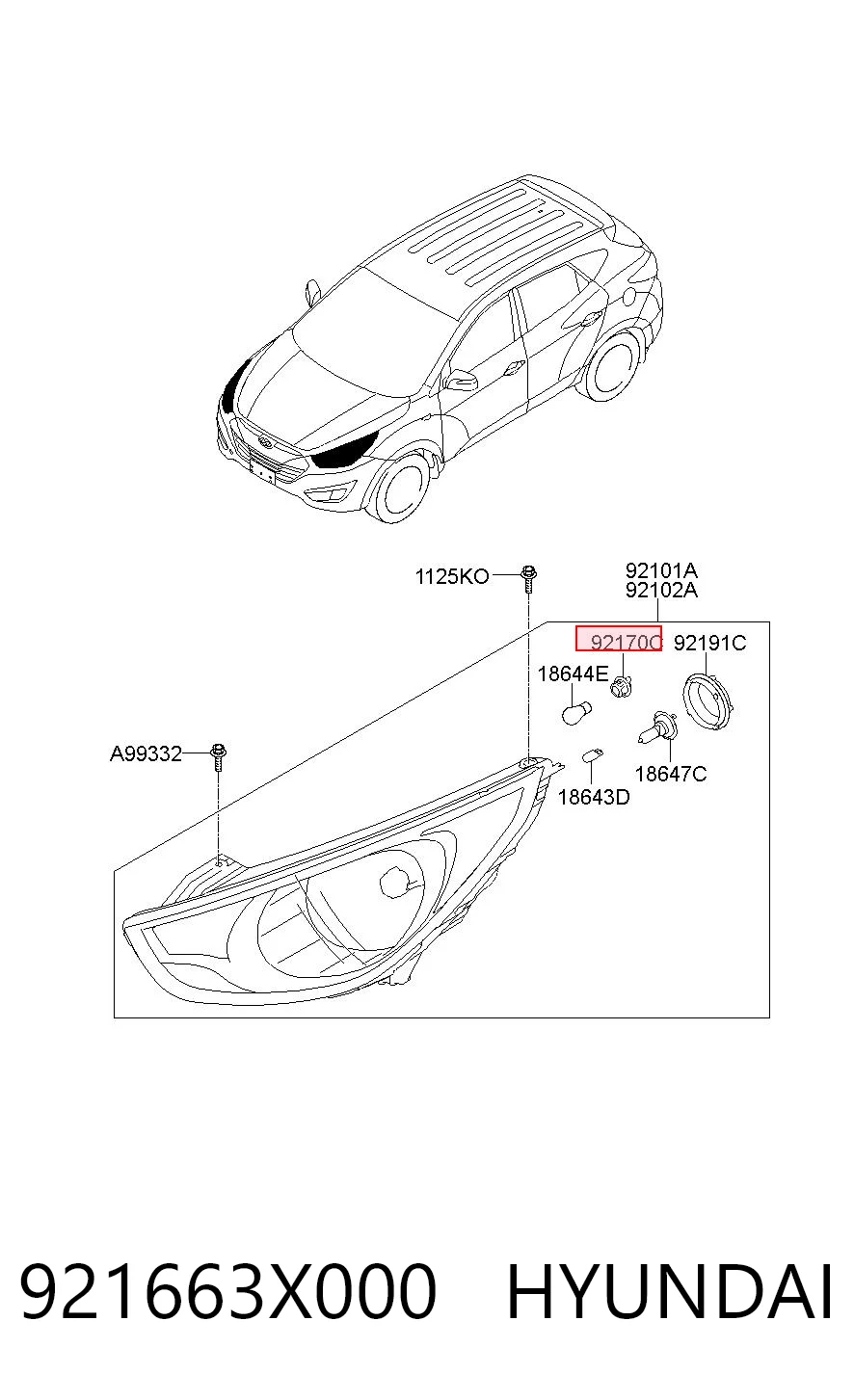 921663X000 Hyundai/Kia 