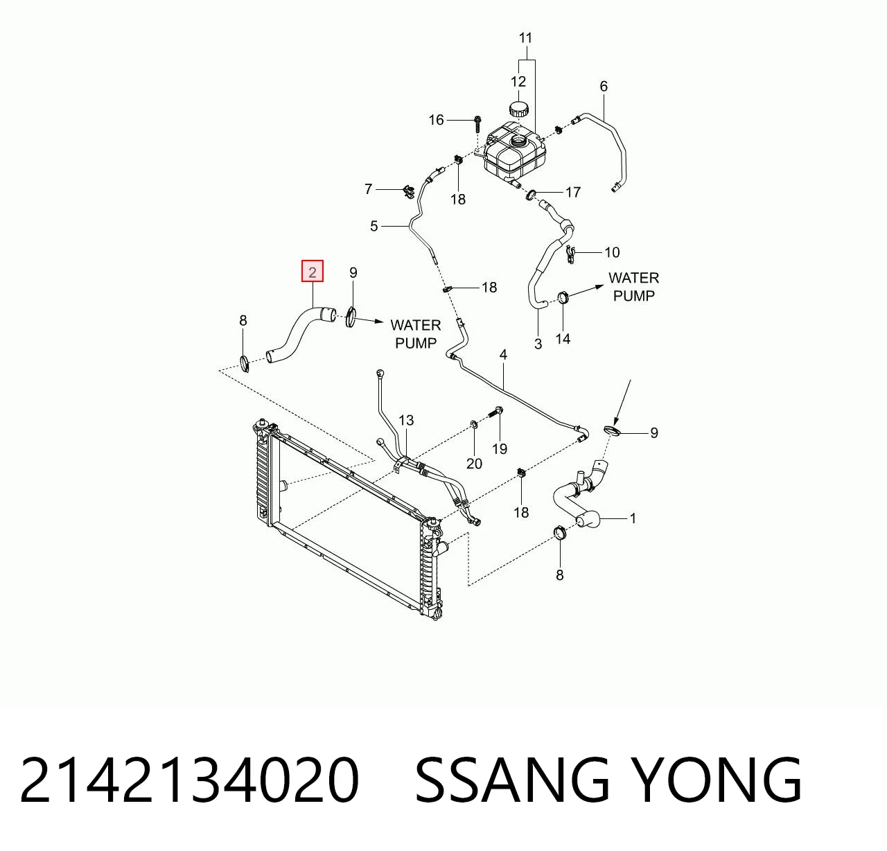 2142134020 Ssang Yong Шланг/патрубок радіатора охолодження, нижній