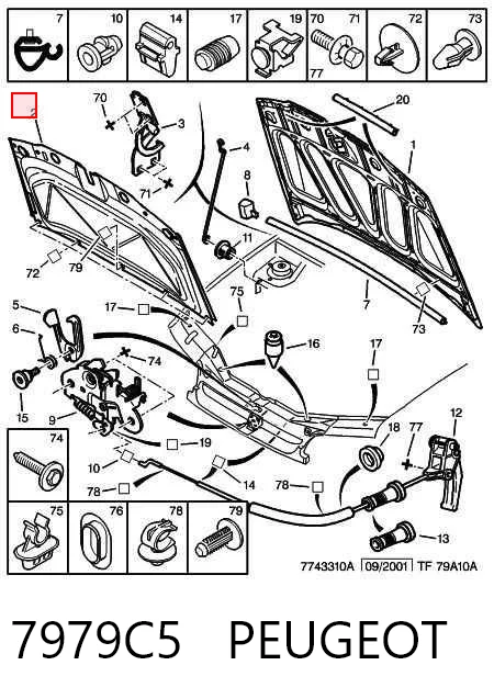 Шумоізоляція капота Citroen Berlingo M