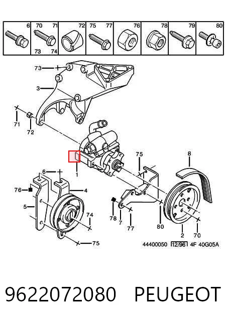 9622072080 Peugeot/Citroen Насос гідропідсилювача