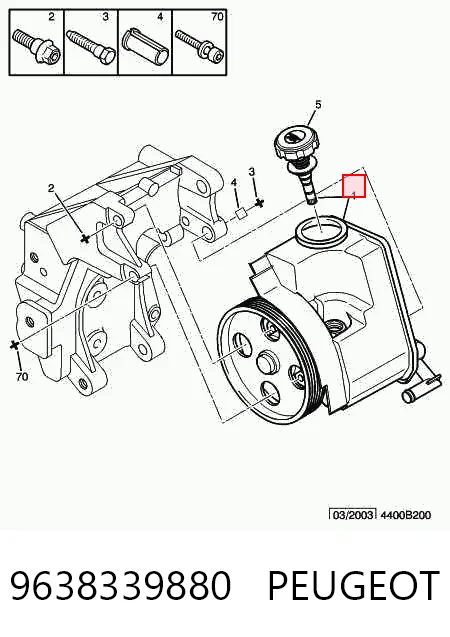 9638339880 Peugeot/Citroen Насос гідропідсилювача