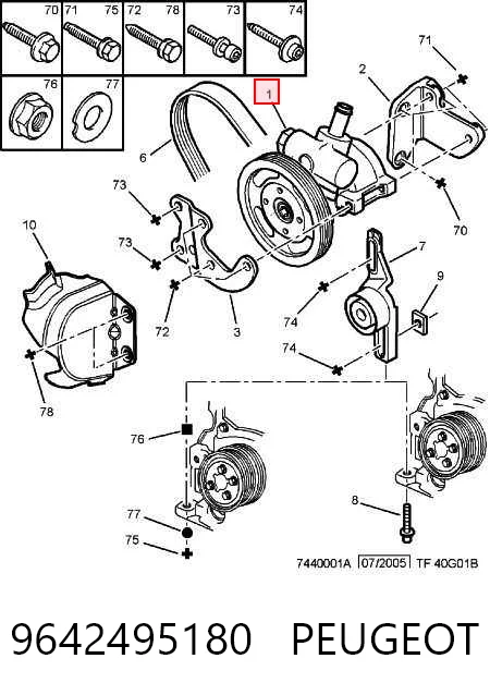 9642495180 Peugeot/Citroen Насос гідропідсилювача