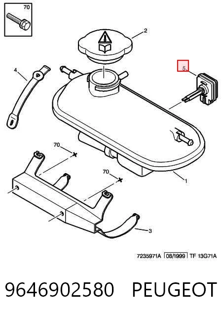 9646902580 Peugeot/Citroen Датчик рівня охолоджуючої рідини