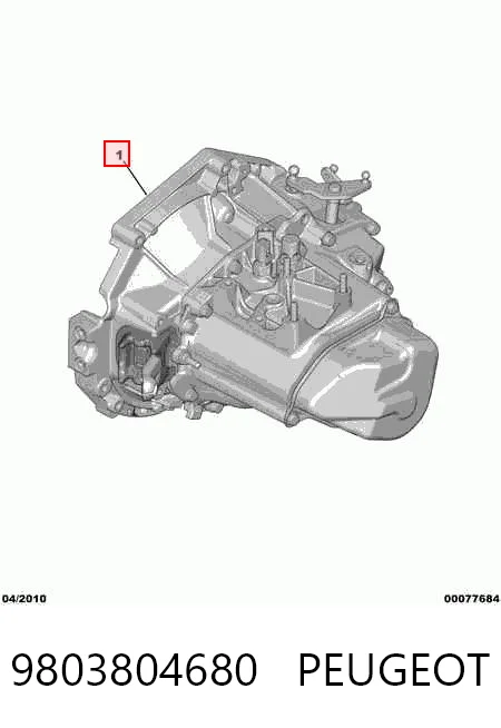 9803804680 Peugeot/Citroen