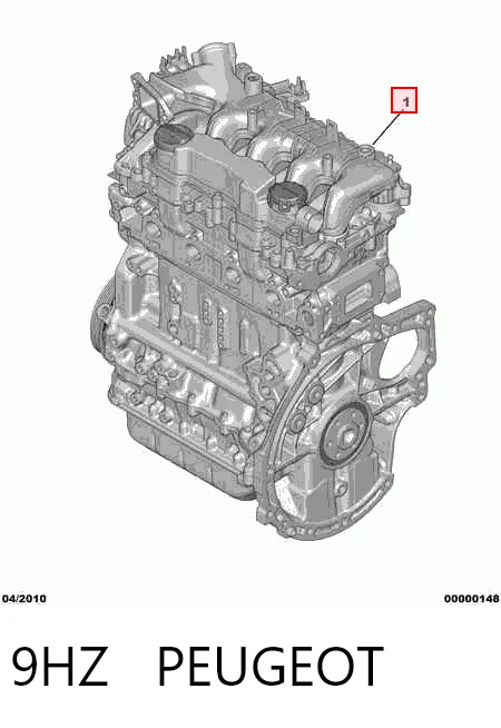 9HZ Peugeot/Citroen Мотор в зборі