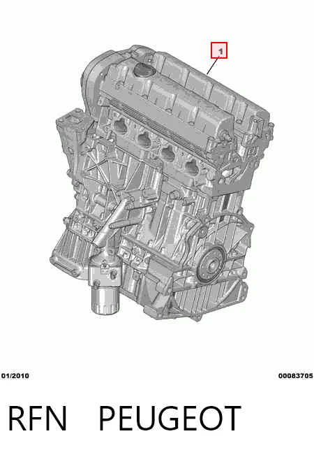 RFN Peugeot/Citroen Мотор в зборі