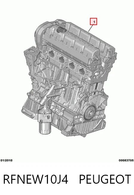 RFNEW10J4 Peugeot/Citroen Мотор в зборі
