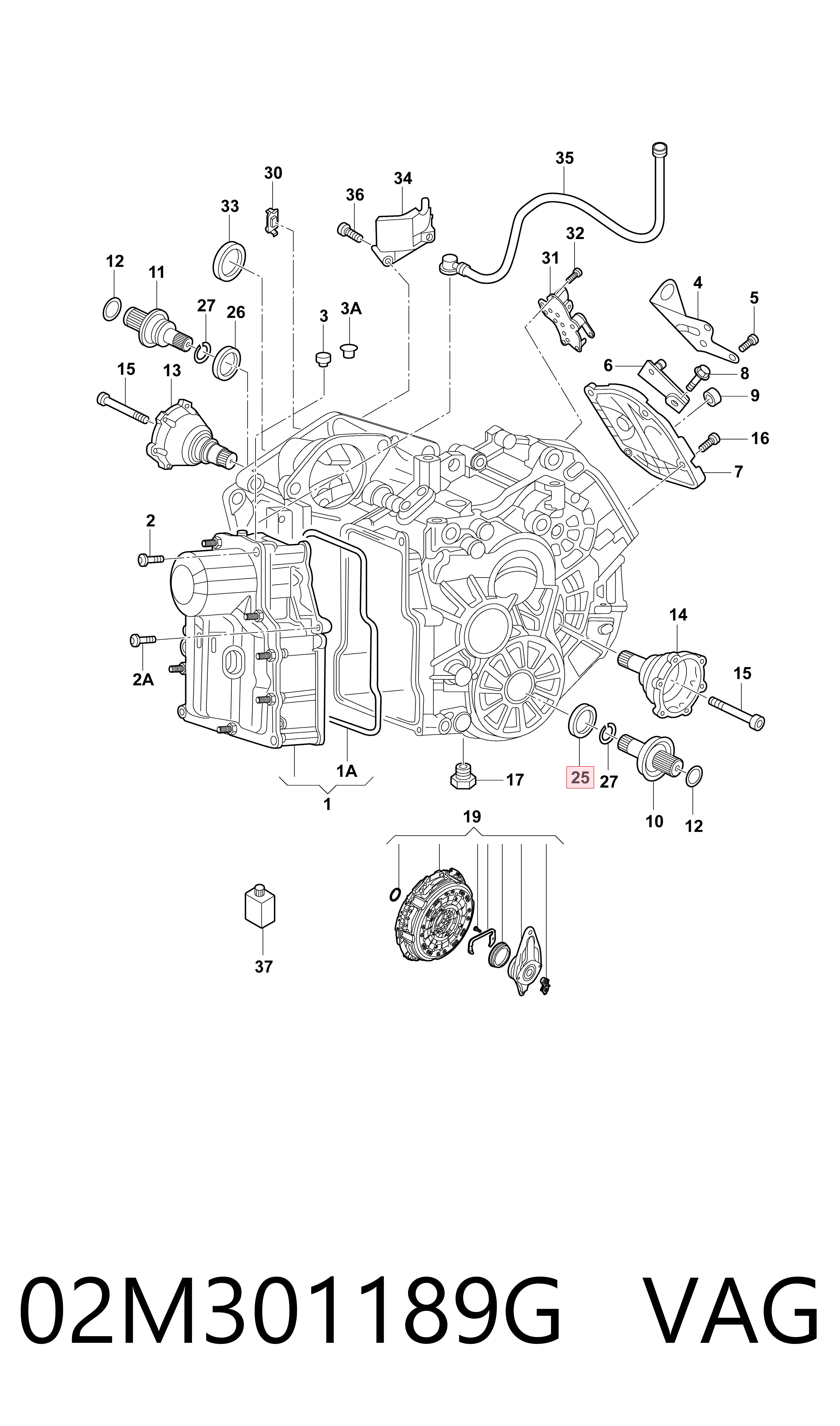 Сальник редуктора переднього моста VAG 02M301189G ціна, від 8.15 USD