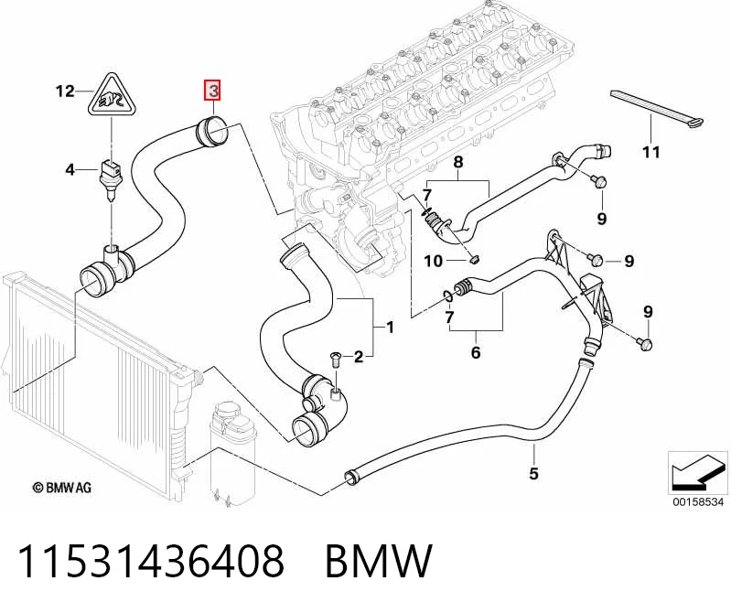 11531436408 BMW Шланг/патрубок радіатора охолодження, нижній